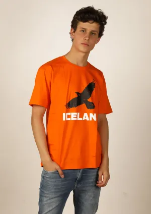 Men's Iceland Raven