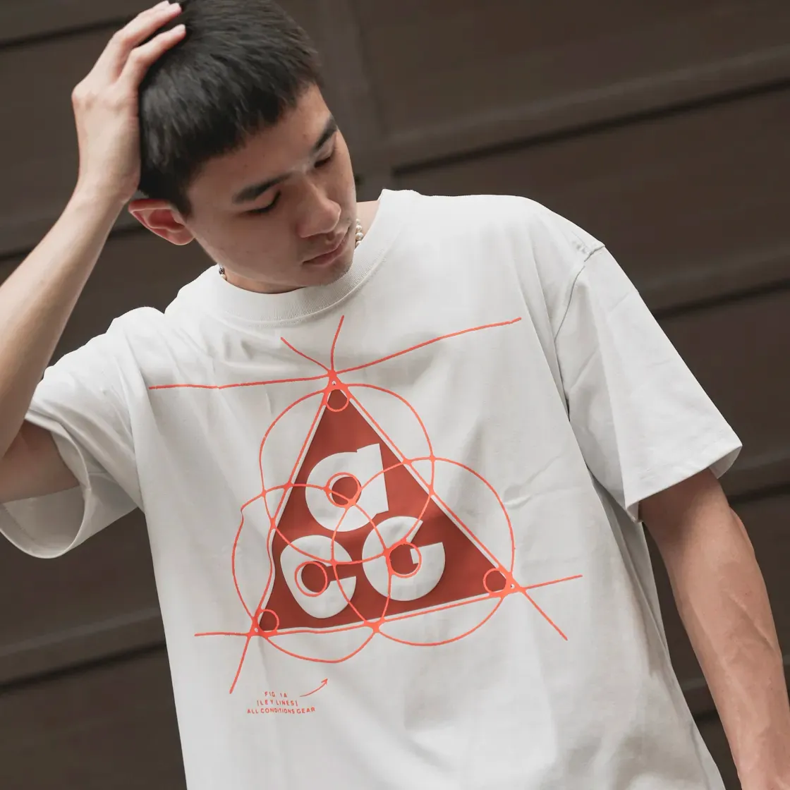 Nike ACG Big Logo Graphic Tee [FB8120]